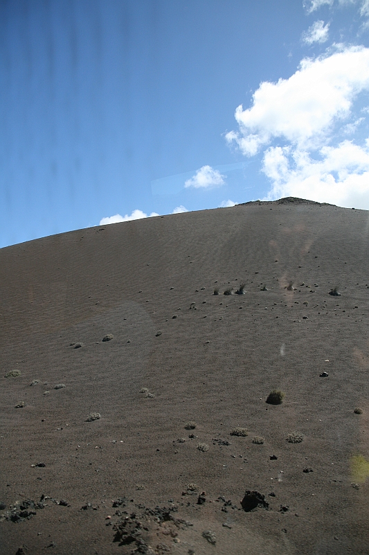 Kanary_2010 107